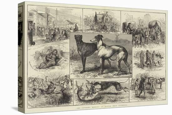 The Coursing Meeting at Altcar, Near Liverpool-null-Stretched Canvas