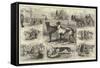 The Coursing Meeting at Altcar, Near Liverpool-null-Framed Stretched Canvas