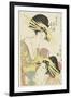 The Courtesans Hanaogi and Takigawa of the Ogiya House, C. 1805-Kitagawa Utamaro-Framed Giclee Print