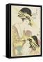 The Courtesans Hanaogi and Takigawa of the Ogiya House, C. 1805-Kitagawa Utamaro-Framed Stretched Canvas