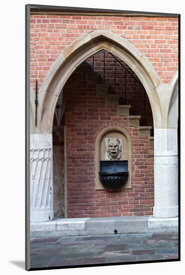 The Courtyard of the Collegium Maius of the Jagiellonski University in Krakow in Poland-wjarek-Mounted Photographic Print