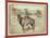 The Cow Boy-John C. H. Grabill-Mounted Giclee Print
