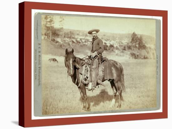 The Cow Boy-John C. H. Grabill-Stretched Canvas