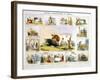 The Cow, C1850-Benjamin Waterhouse Hawkins-Framed Giclee Print