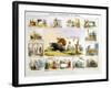 The Cow, C1850-Benjamin Waterhouse Hawkins-Framed Giclee Print