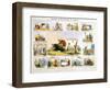 The Cow, C1850-Benjamin Waterhouse Hawkins-Framed Giclee Print