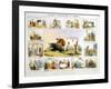 The Cow, C1850-Benjamin Waterhouse Hawkins-Framed Giclee Print