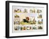 The Cow, C1850-Benjamin Waterhouse Hawkins-Framed Giclee Print