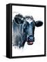 The Cow on White, 2021, (Pen and Ink)-Mike Davis-Framed Stretched Canvas