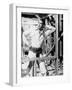 The Cowboy and the Lady, 1938-null-Framed Photographic Print