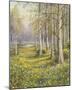 The Cowslip Field-John Halford Ross-Mounted Giclee Print