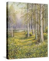 The Cowslip Field-John Halford Ross-Stretched Canvas