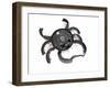 The Crab, 2005-Lawrie Simonson-Framed Giclee Print