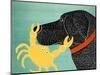 The Crab Black Dog Yellow Crab-Stephen Huneck-Mounted Giclee Print