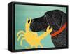 The Crab Black Dog Yellow Crab-Stephen Huneck-Framed Stretched Canvas