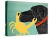 The Crab Black Dog Yellow Crab-Stephen Huneck-Stretched Canvas
