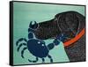 The Crab Black-Stephen Huneck-Framed Stretched Canvas