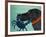 The Crab Black-Stephen Huneck-Framed Giclee Print