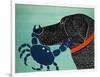 The Crab Black-Stephen Huneck-Framed Premium Giclee Print