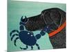 The Crab Black-Stephen Huneck-Mounted Premium Giclee Print