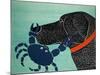 The Crab Black-Stephen Huneck-Mounted Giclee Print