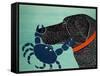 The Crab Black-Stephen Huneck-Framed Stretched Canvas