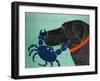 The Crab Black-Stephen Huneck-Framed Giclee Print