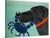 The Crab Black-Stephen Huneck-Stretched Canvas