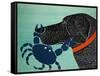 The Crab Black-Stephen Huneck-Framed Stretched Canvas