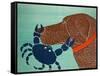 The Crab Choc-Stephen Huneck-Framed Stretched Canvas