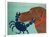 The Crab Choc-Stephen Huneck-Framed Premium Giclee Print