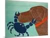 The Crab Choc-Stephen Huneck-Mounted Premium Giclee Print