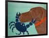 The Crab Choc-Stephen Huneck-Framed Premium Giclee Print