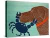 The Crab Choc-Stephen Huneck-Stretched Canvas