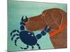 The Crab Choc-Stephen Huneck-Mounted Giclee Print