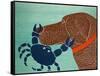 The Crab Choc-Stephen Huneck-Framed Stretched Canvas