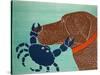 The Crab Choc-Stephen Huneck-Stretched Canvas