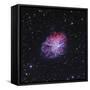 The Crab Nebula-Stocktrek Images-Framed Stretched Canvas