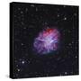 The Crab Nebula-Stocktrek Images-Stretched Canvas