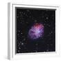 The Crab Nebula-Stocktrek Images-Framed Photographic Print