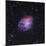 The Crab Nebula-Stocktrek Images-Mounted Photographic Print