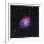 The Crab Nebula-Stocktrek Images-Framed Photographic Print