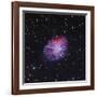 The Crab Nebula-Stocktrek Images-Framed Photographic Print