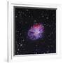 The Crab Nebula-Stocktrek Images-Framed Photographic Print