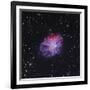 The Crab Nebula-Stocktrek Images-Framed Photographic Print