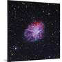 The Crab Nebula-Stocktrek Images-Mounted Photographic Print