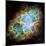 The Crab Nebula-Stocktrek Images-Mounted Photographic Print