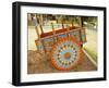 The Crafts Town of Sarchi Famous for Its Decorative Painting and Ox Carts, Costa Rica-R H Productions-Framed Photographic Print