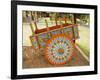 The Crafts Town of Sarchi Famous for Its Decorative Painting and Ox Carts, Costa Rica-R H Productions-Framed Photographic Print