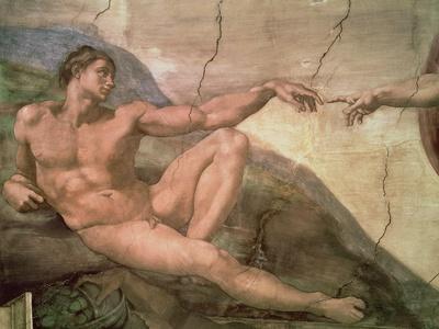 https://imgc.allpostersimages.com/img/posters/the-creation-of-adam-from-the-sistine-ceiling-1511-fresco-pre-restoration_u-L-Q1HHBSL0.jpg?artPerspective=n